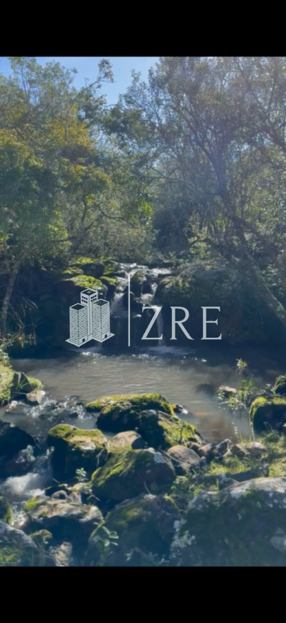 Chacra ID.1306 - Venta chacra de 92 hectáreas en San Carlos, Maldonado