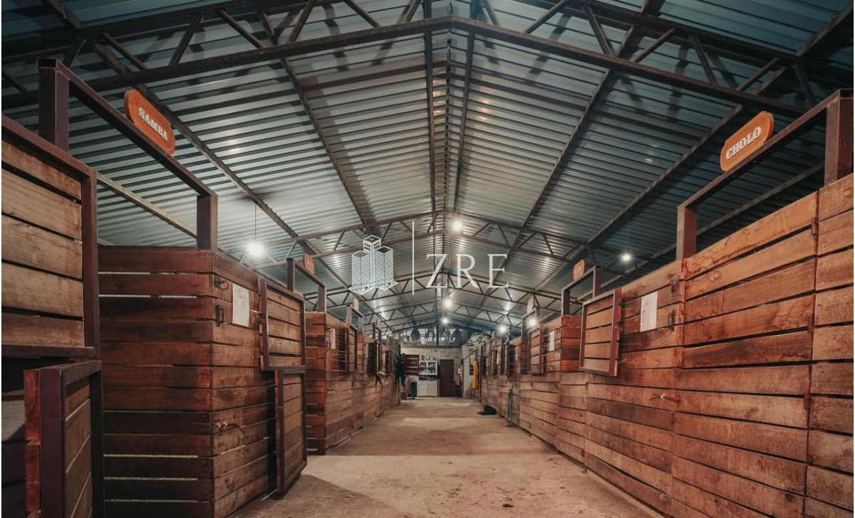 Chacra ID.835 - Venta Chacra en ruta 39, Maldonado