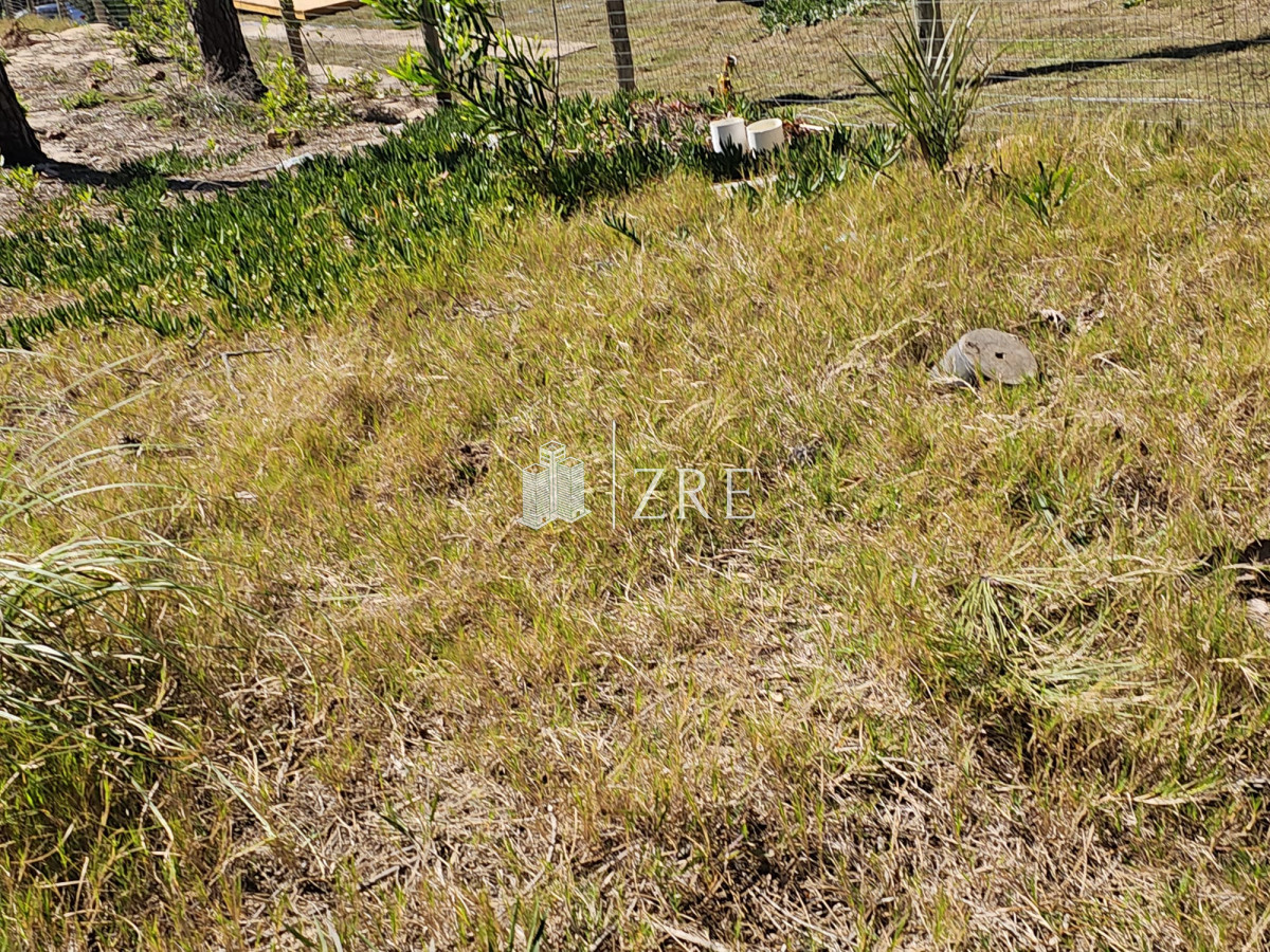 Chacra ID.995 - Venta Chacra Pan de Azúcar 5 hectareas