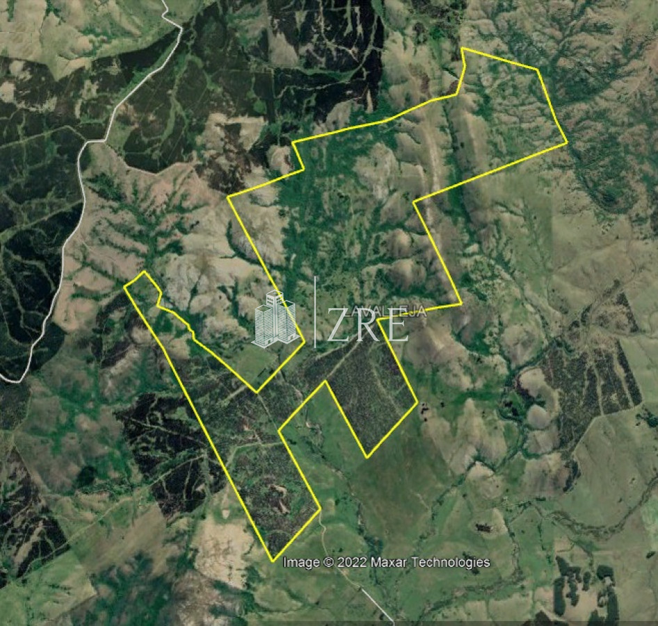 Campo Ref.2 - Campo ganadero forestal en Lavalleja