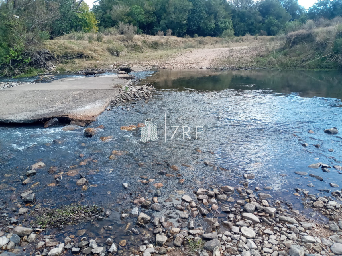 Campo Ref.2 - Campo ganadero forestal en Lavalleja
