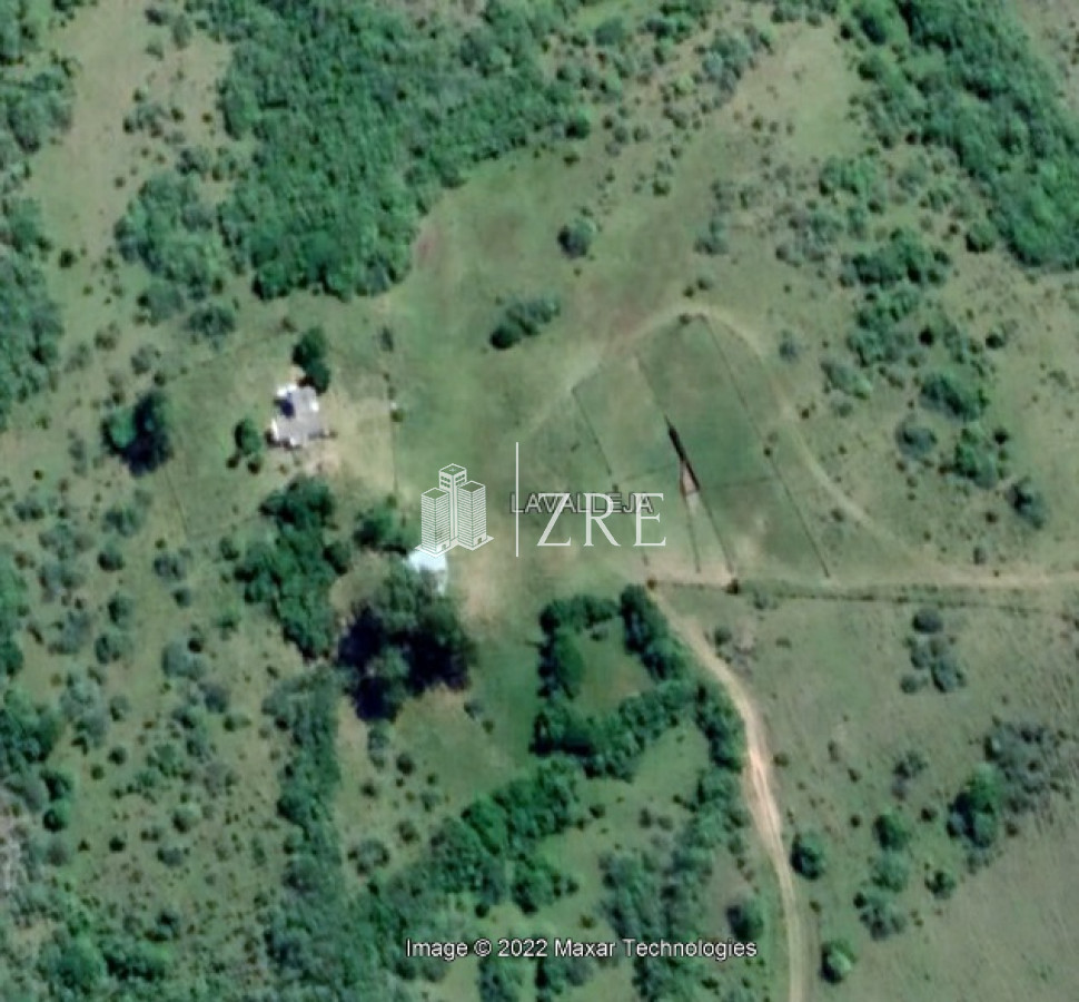 Campo Ref.2 - Campo ganadero forestal en Lavalleja
