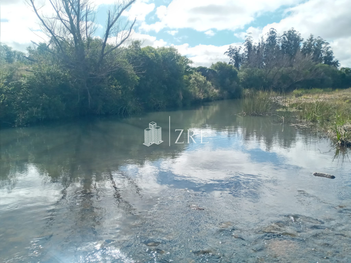 Campo Ref.2 - Campo ganadero forestal en Lavalleja