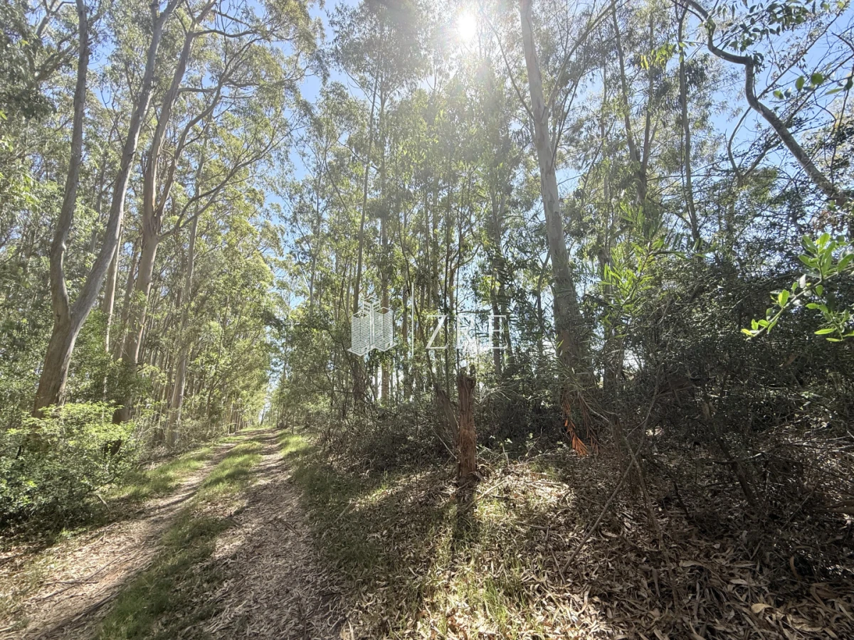 Terreno ID.1250 - Terreno La Juanita Venta 