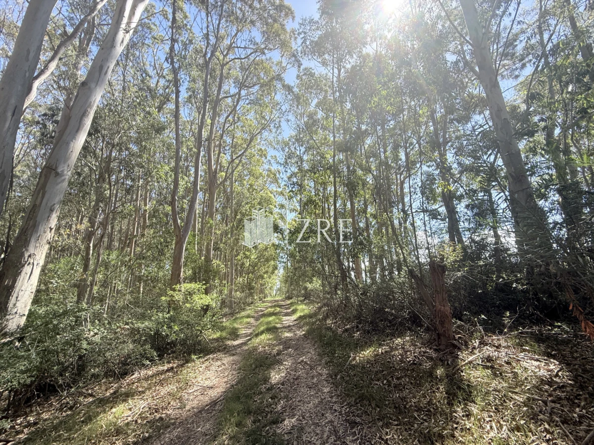 Terreno ID.1250 - Terreno La Juanita Venta 