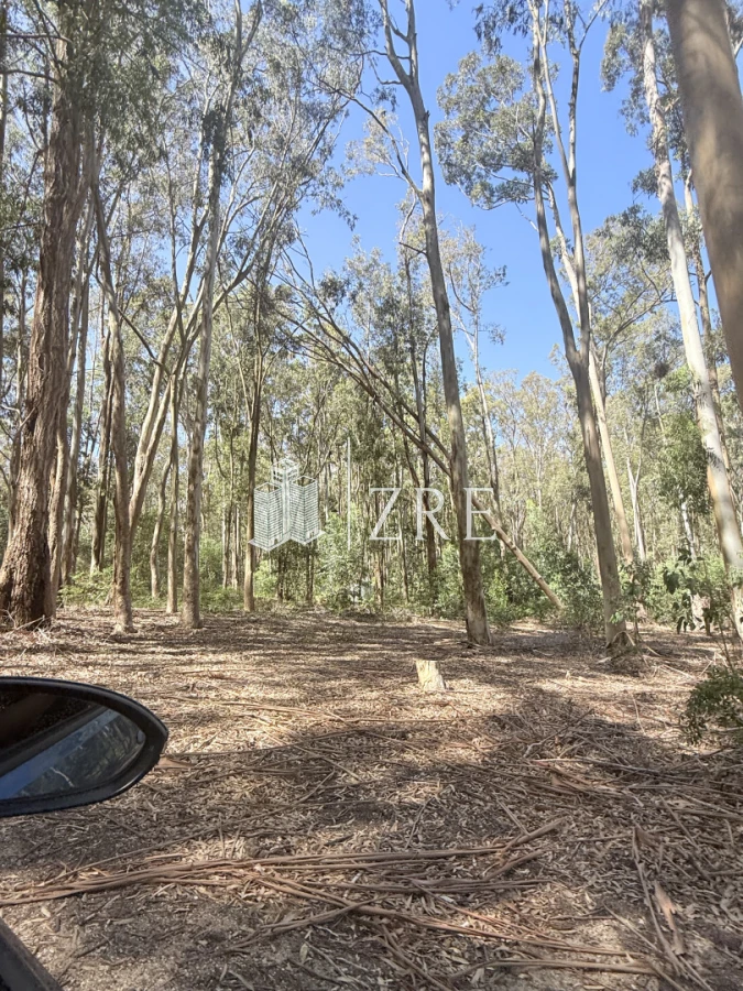 Terreno ID.1250 - Terreno La Juanita Venta 