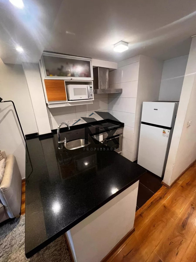 Apartamento ID.4 - Alquiler Apartamento Monoambiente Balcón, Piscina Parrillero Gimnasio Punta Carretas, T