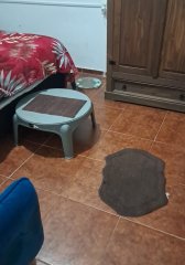 Venta Apartamento 1 Dormitorio en La Blanqueada, T