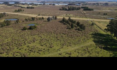 Chacra de 5 has sobre Ruta 12, con tajamar y vistas a Laguna del Sauce.