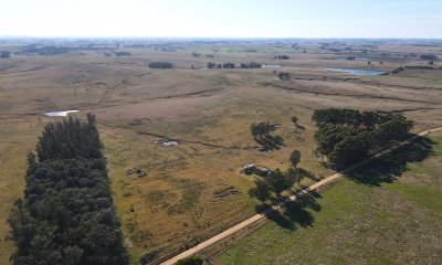 Campo en venta de 44 Has con importante frente sobre calle de balastro y cerca de Ruta 104.