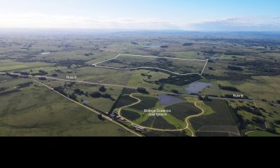 Campo en venta de 161 Has en localidad de José Ignacio, Maldonado.