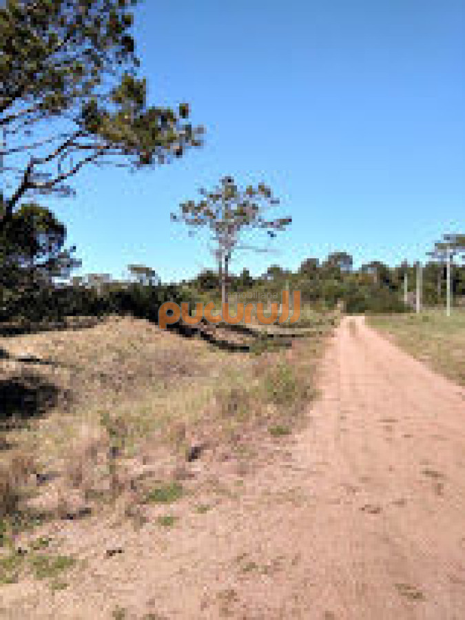 Terreno ID.2727 - SE VENDE TERRENO EN LA VIUDA PUNTA DEL DIABLO