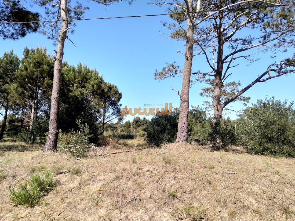 Terreno ID.2727 - SE VENDE TERRENO EN LA VIUDA PUNTA DEL DIABLO