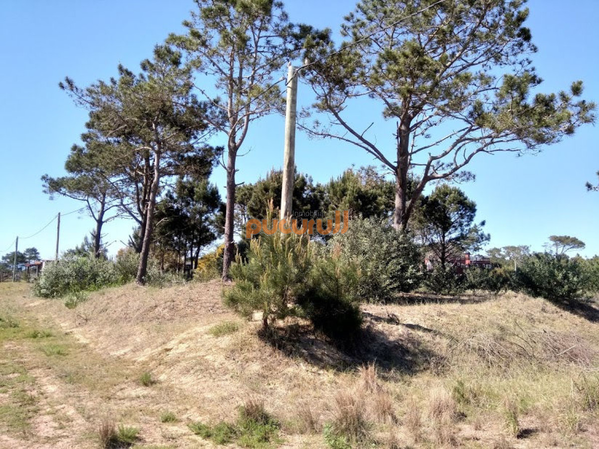 Terreno ID.2727 - SE VENDE TERRENO EN LA VIUDA PUNTA DEL DIABLO