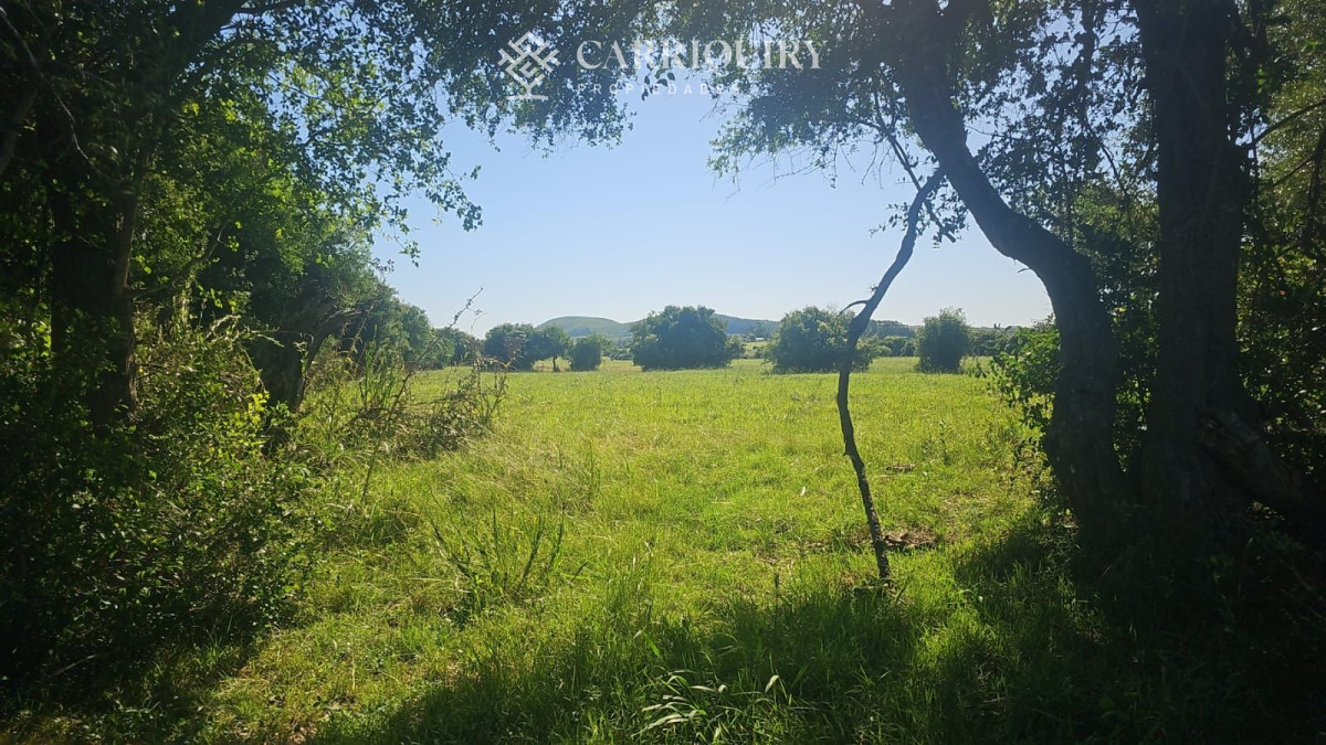 Pueblo Eden - GoPunta - Portal Inmobiliario de Punta del Este - Maldonado