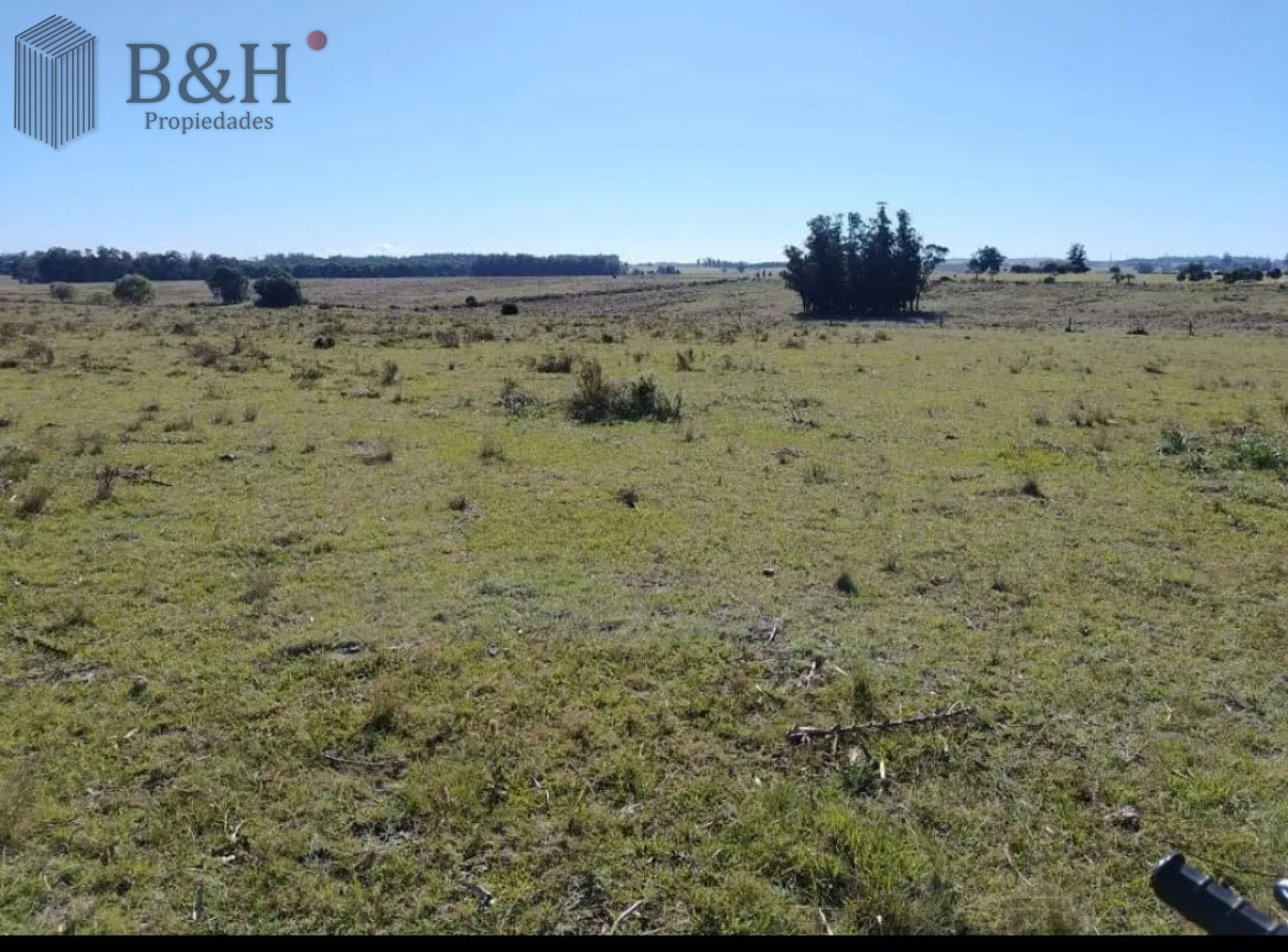 San Carlos - GoPunta - Portal Inmobiliario de Punta del Este - Maldonado