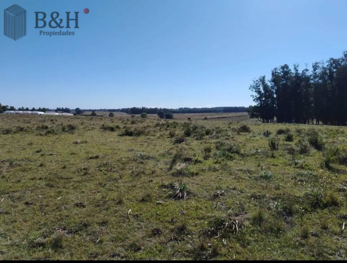 San Carlos - GoPunta - Portal Inmobiliario de Punta del Este - Maldonado