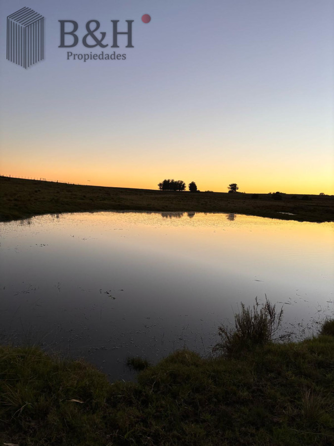 SE VENDE CAMPO 21 HECTAREAS JOSE IGNACIO - GoPunta - Portal Inmobiliario de Punta del Este - Maldonado