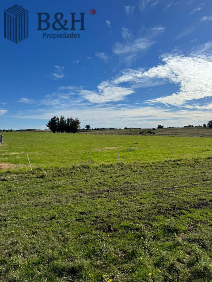 SE VENDE CAMPO 21 HECTAREAS JOSE IGNACIO - GoPunta - Portal Inmobiliario de Punta del Este - Maldonado