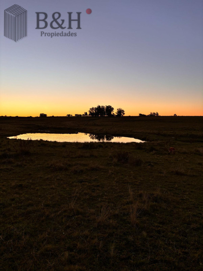SE VENDE CAMPO 21 HECTAREAS JOSE IGNACIO - GoPunta - Portal Inmobiliario de Punta del Este - Maldonado