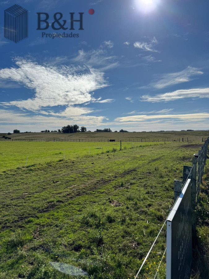 SE VENDE CAMPO 21 HECTAREAS JOSE IGNACIO - GoPunta - Portal Inmobiliario de Punta del Este - Maldonado