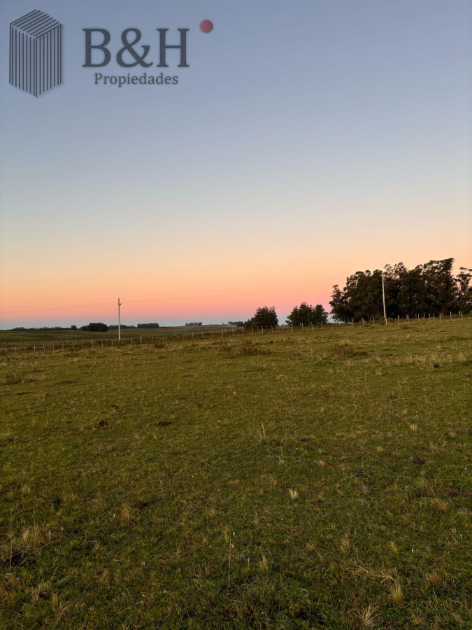 SE VENDE CAMPO 21 HECTAREAS JOSE IGNACIO - GoPunta - Portal Inmobiliario de Punta del Este - Maldonado