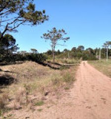 SE VENDE TERRENO EN LA VIUDA PUNTA DEL DIABLO