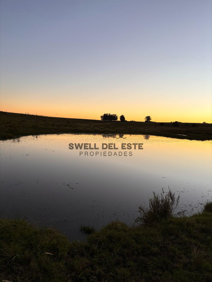 Campo Ref.138 - SE VENDE CAMPO 21 HECTAREAS JOSE IGNACIO