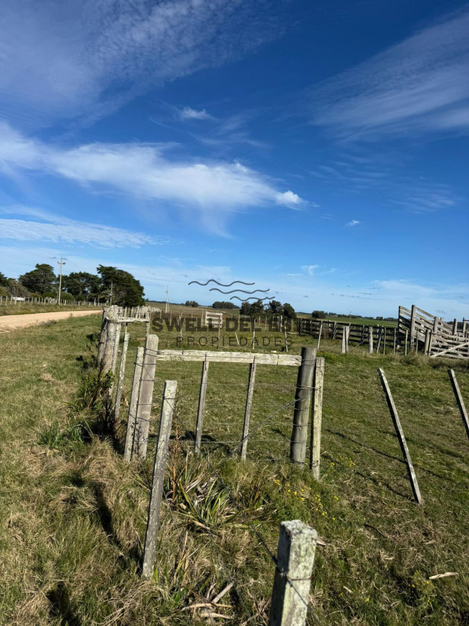Campo Ref.138 - SE VENDE CAMPO 21 HECTAREAS JOSE IGNACIO