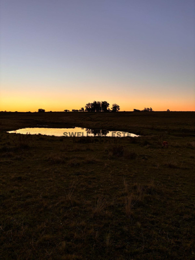Campo Ref.138 - SE VENDE CAMPO 21 HECTAREAS JOSE IGNACIO