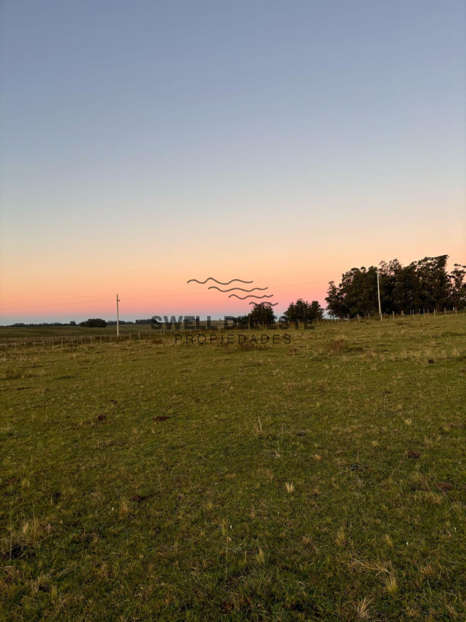 Campo Ref.138 - SE VENDE CAMPO 21 HECTAREAS JOSE IGNACIO