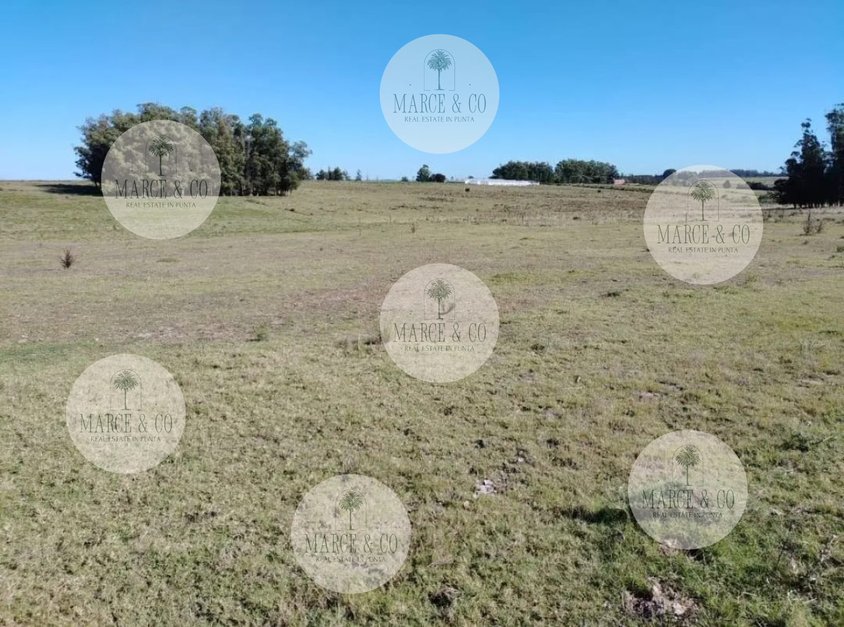 Chacra ID.2167 - SE VENDE  CHACRA DE 5H A PASOS DE SAN CARLOS