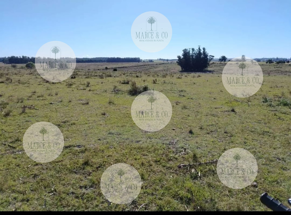 Chacra ID.2167 - SE VENDE  CHACRA DE 5H A PASOS DE SAN CARLOS