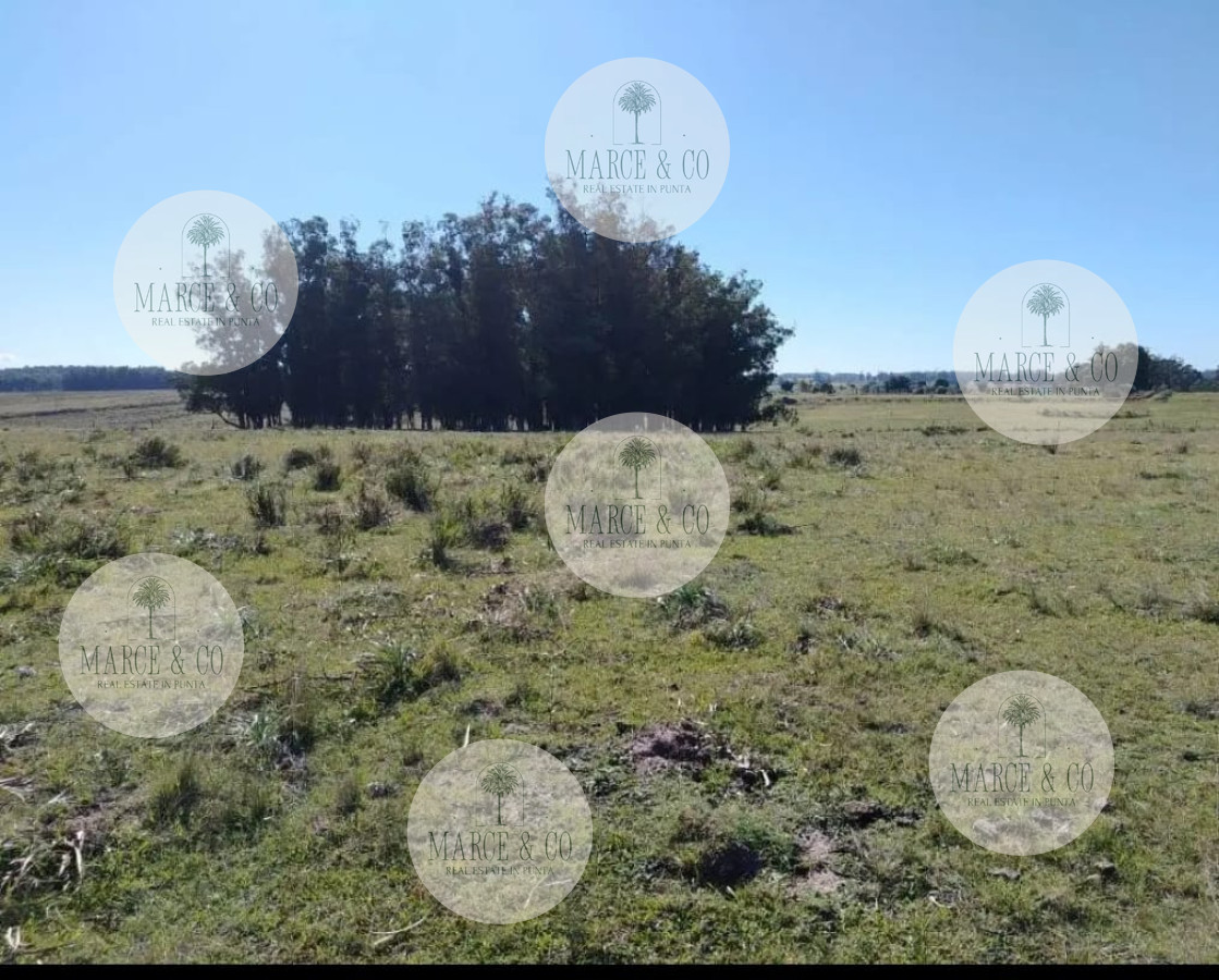 Chacra ID.2167 - SE VENDE  CHACRA DE 5H A PASOS DE SAN CARLOS