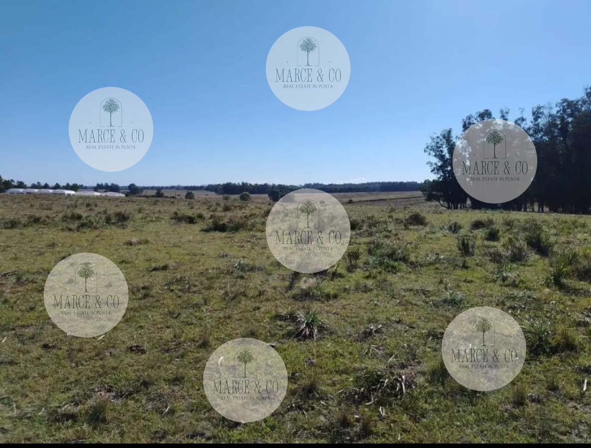 Chacra ID.2167 - SE VENDE  CHACRA DE 5H A PASOS DE SAN CARLOS