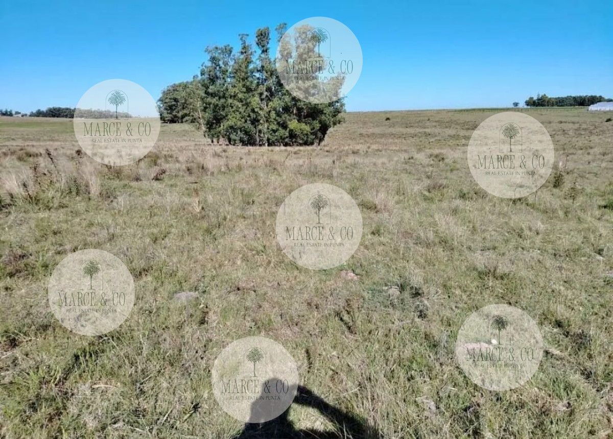 Chacra ID.2167 - SE VENDE  CHACRA DE 5H A PASOS DE SAN CARLOS