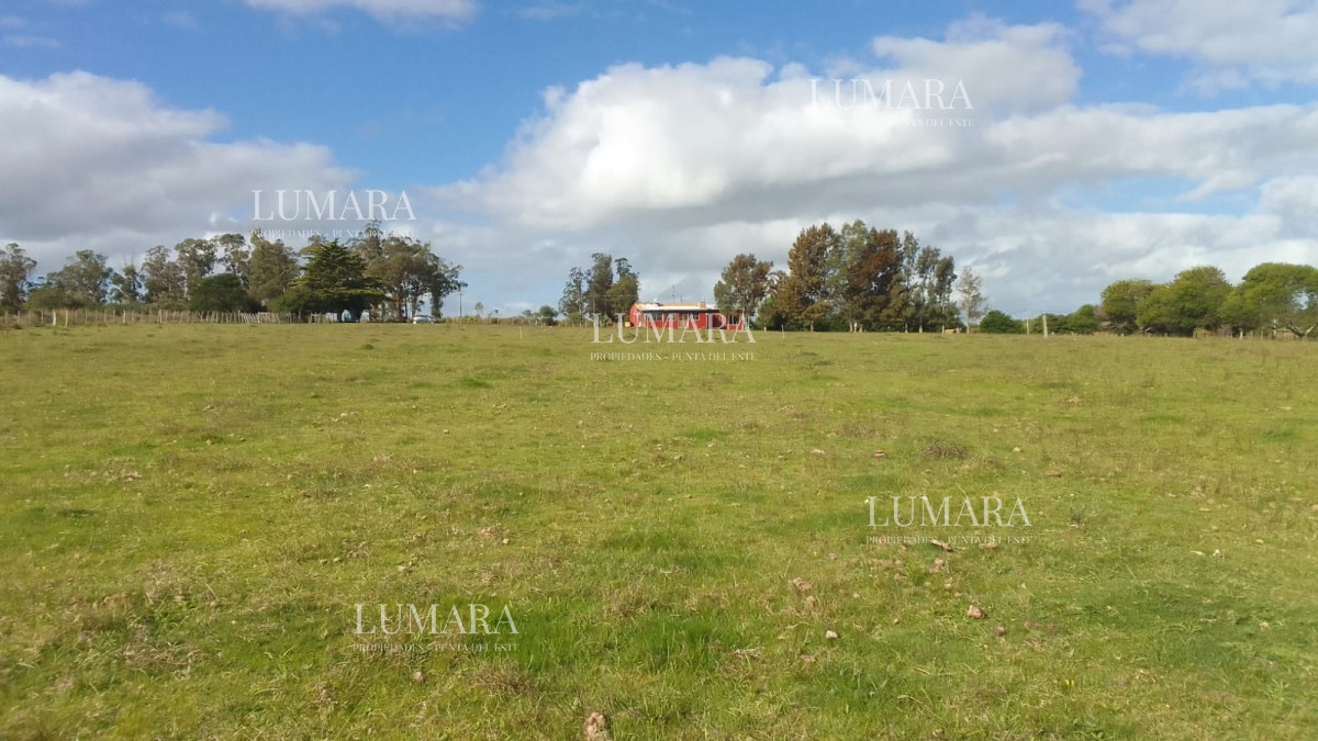 Chacra ID.3077 - SE VENDE CHCRA ZONA RURAL SAN CARLOS RUTA 39