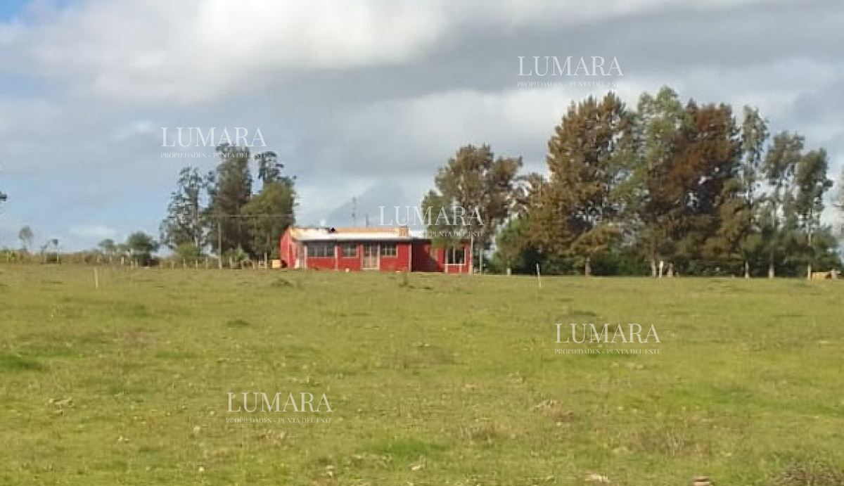Chacra ID.3077 - SE VENDE CHCRA ZONA RURAL SAN CARLOS RUTA 39