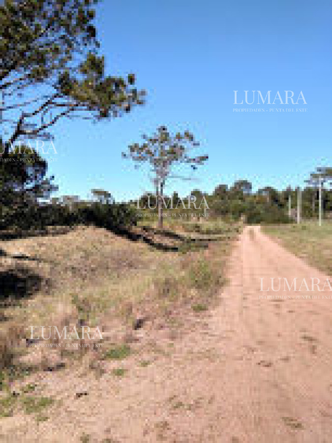Terreno ID.3272 - SE VENDE TERRENO EN LA VIUDA PUNTA DEL DIABLO