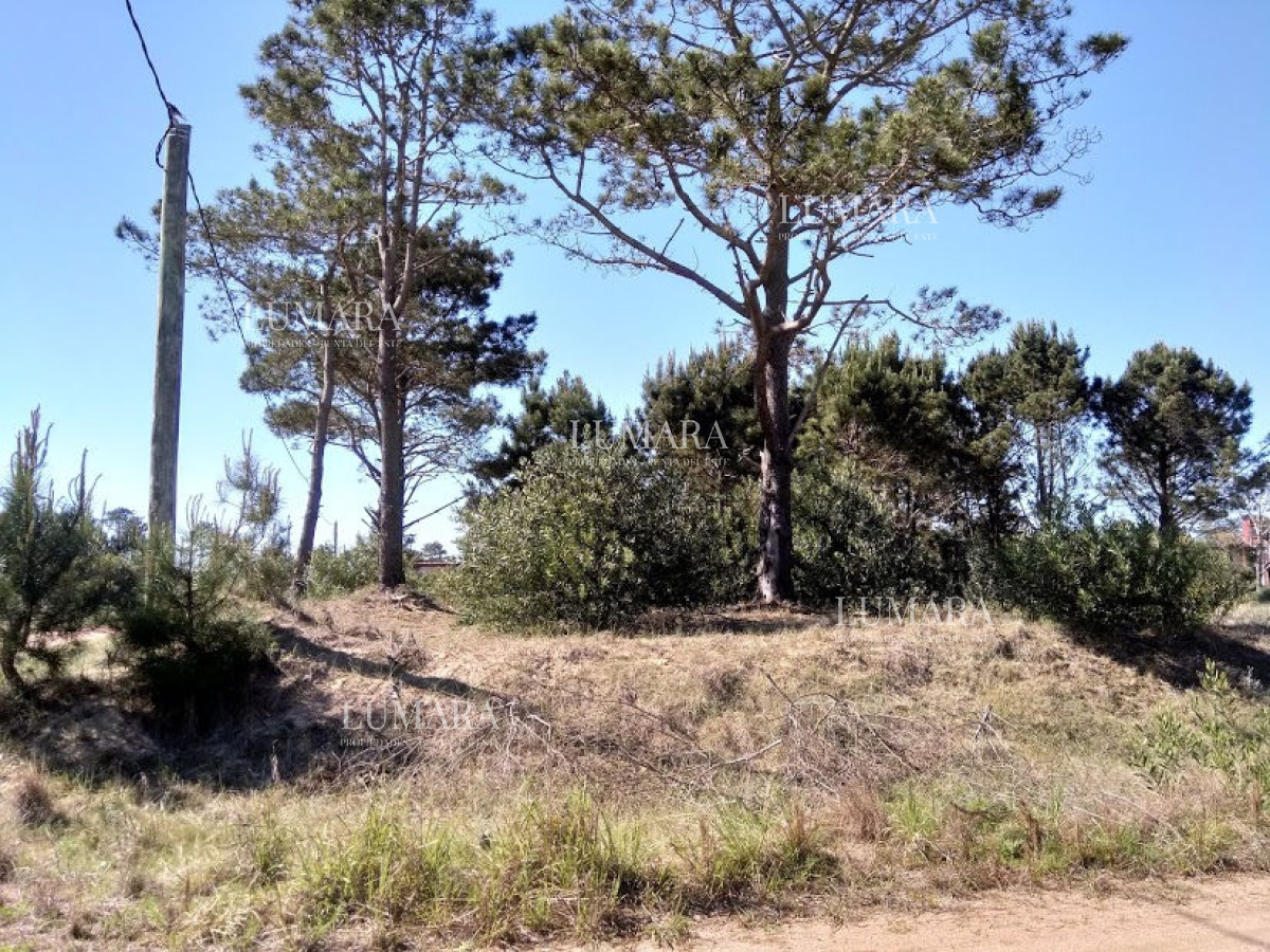 Terreno ID.3272 - SE VENDE TERRENO EN LA VIUDA PUNTA DEL DIABLO