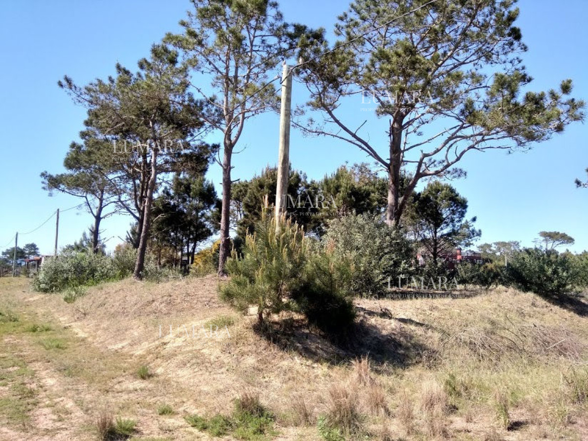 Terreno ID.3272 - SE VENDE TERRENO EN LA VIUDA PUNTA DEL DIABLO