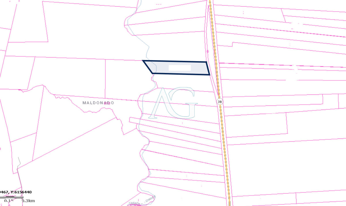 Chacra ID.289 - SE VENDE CHCRA ZONA RURAL SAN CARLOS RUTA 39