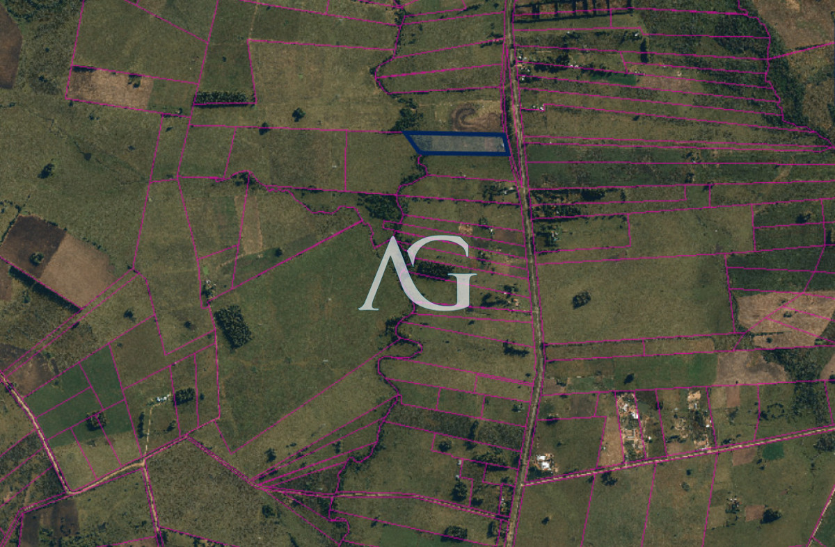 Chacra ID.289 - SE VENDE CHCRA ZONA RURAL SAN CARLOS RUTA 39