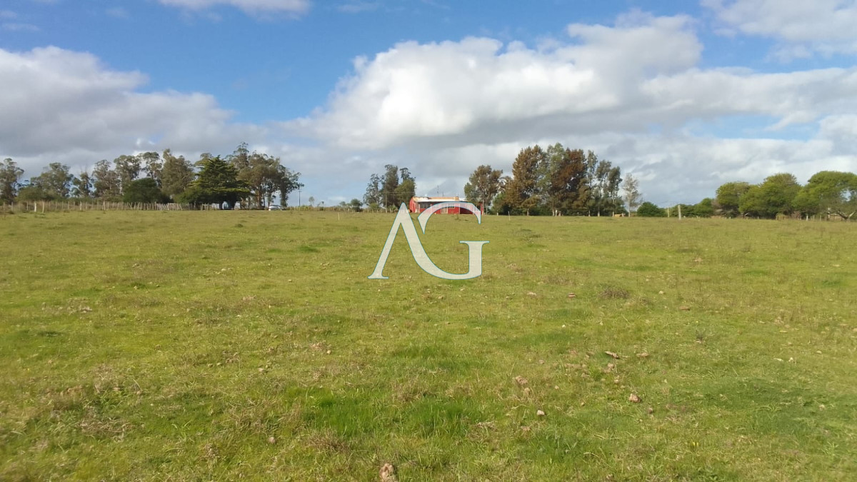 Chacra ID.289 - SE VENDE CHCRA ZONA RURAL SAN CARLOS RUTA 39