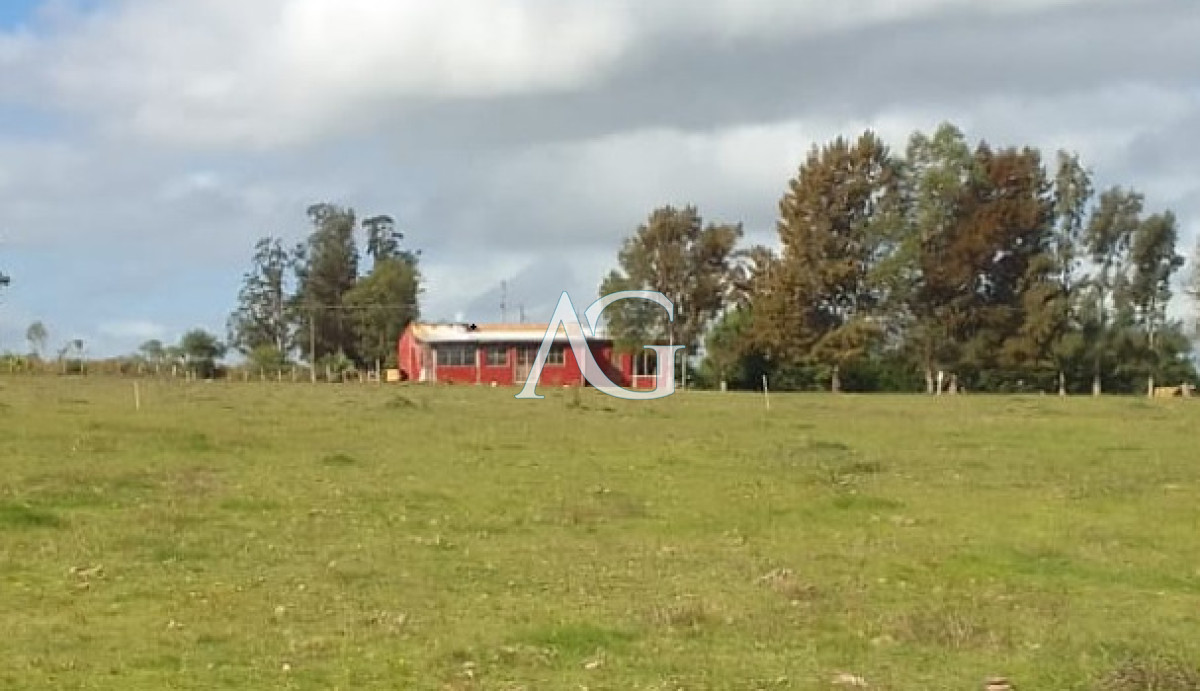 Chacra ID.289 - SE VENDE CHCRA ZONA RURAL SAN CARLOS RUTA 39