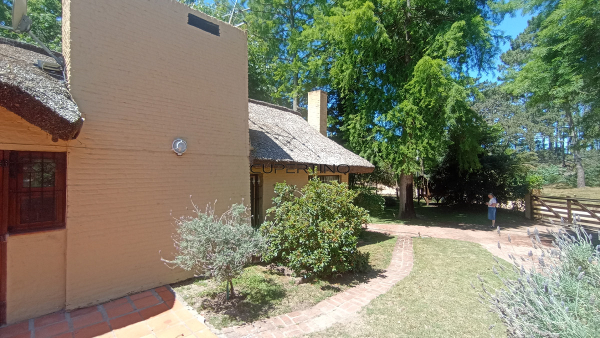 SE ALQUILA ANUAL O TEMPORADA CASA EN PIEDRAS DEL CHILENO — foto 3
