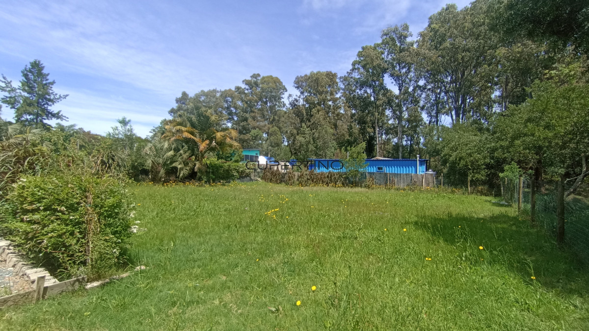 Casa en Punta Ballena, Sauce de Portezuelo — foto 9