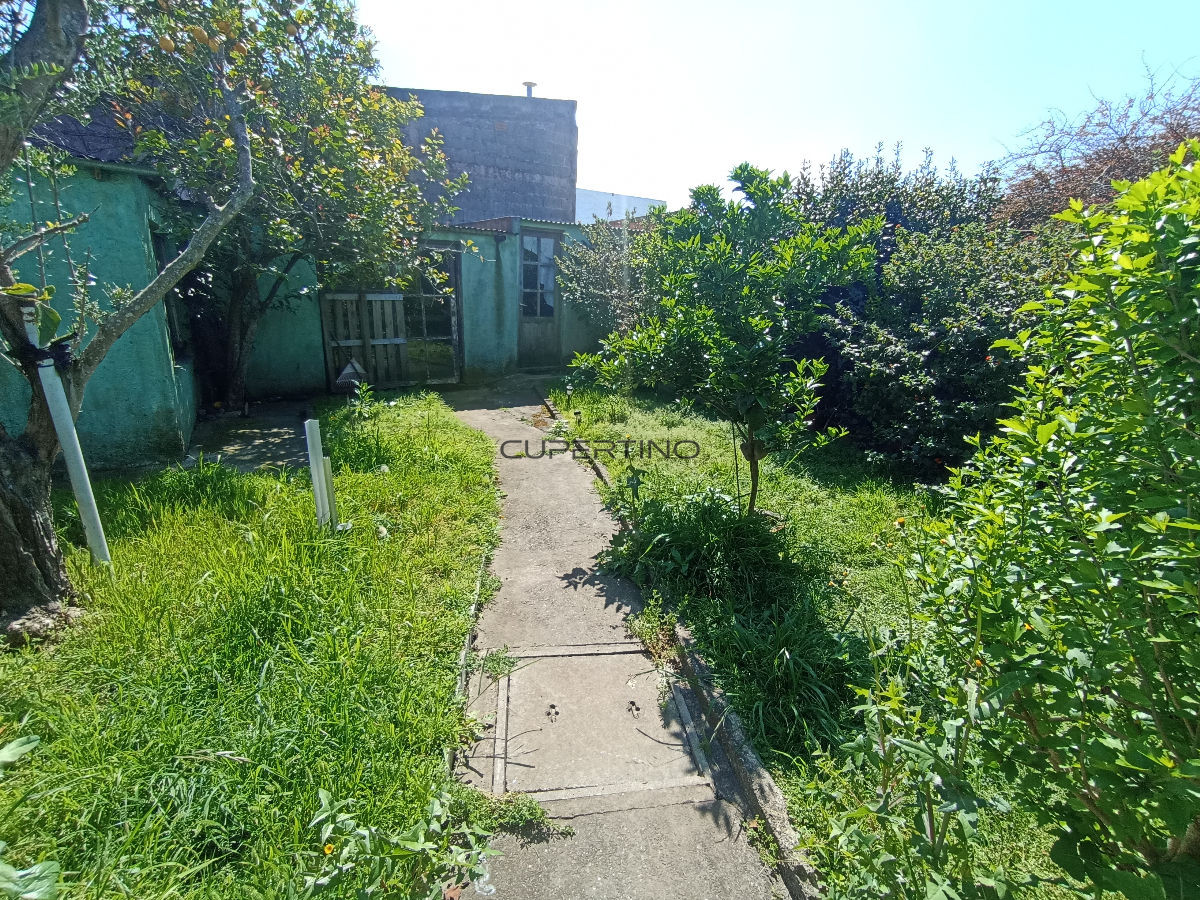 Casa en Maldonado, Centro Maldonado — foto 11