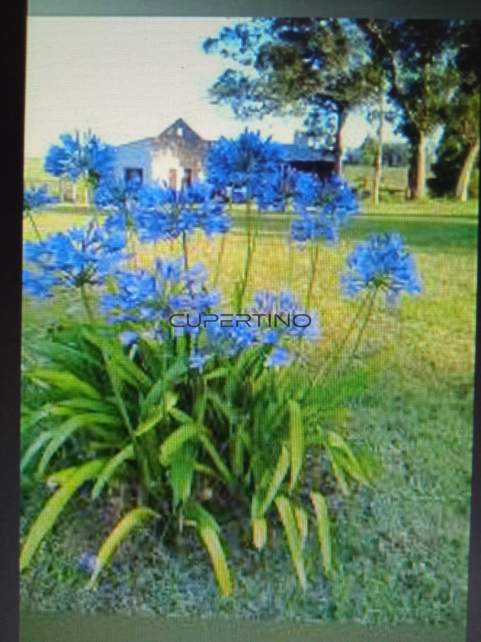 Chacra ID.106 - SE VENDE CHACRA 5H CAMPO DON NICO