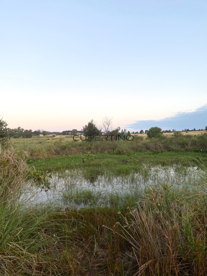 Chacra ID.106 - SE VENDE CHACRA 5H CAMPO DON NICO